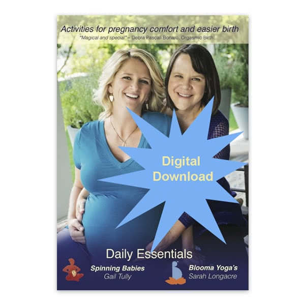 Daily-Essentials-Video-Digital-Download